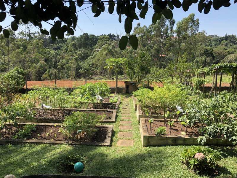 Apartamento à venda Lageadinho com 300m² e 4 quartos por R$ 550.000 - 1089263491-15baf86d-b8b5-4578-8455-a0d4015eac2e.jpeg