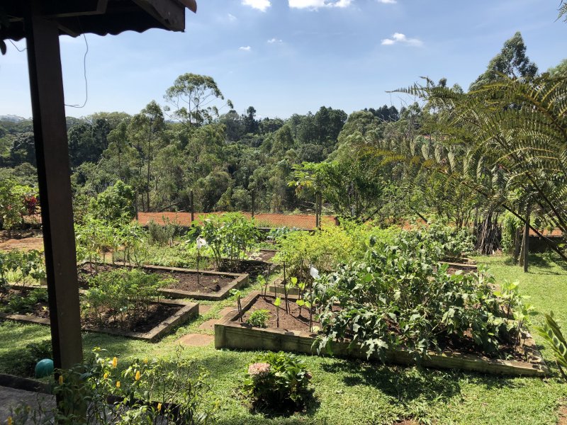 Apartamento à venda Lageadinho com 300m² e 4 quartos por R$ 550.000 - 1421950994-fe043a2b-8ce1-4e90-a2c3-5ddbdb6986a2.jpeg