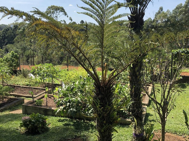 Apartamento à venda Lageadinho com 300m² e 4 quartos por R$ 550.000 - 1571800781-a208eaf3-ea98-483d-993e-58067c3d8d18.jpeg
