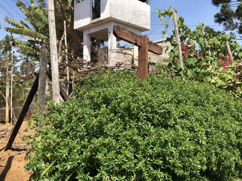 Apartamento à venda Lageadinho com 300m² e 4 quartos por R$ 550.000 - 1761770989-52588591-add4-41a0-8dc4-e0dd1ac6e5b0.jpeg
