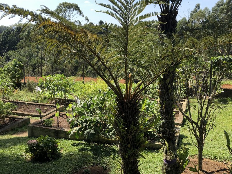 Apartamento à venda Lageadinho com 300m² e 4 quartos por R$ 550.000 - 709079894-b5e6dbee-aa44-4194-ad45-730968e0a903.jpeg