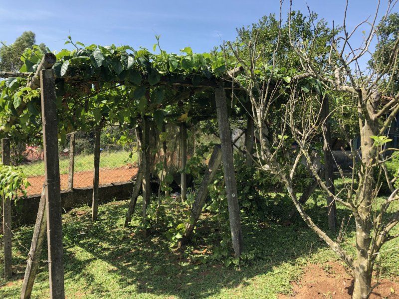 Apartamento à venda Lageadinho com 300m² e 4 quartos por R$ 550.000 - 945568034-ed80c0a7-5e08-44ac-8117-99dc67cd0388.jpeg