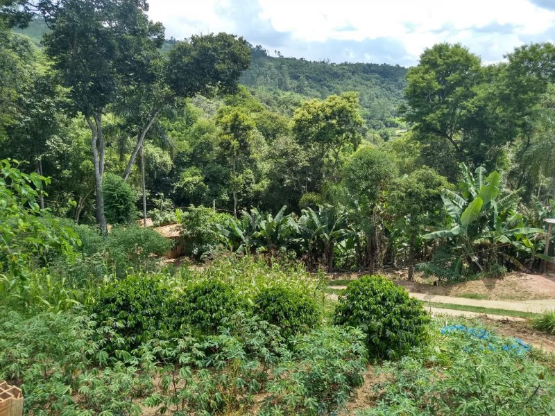 imóvel com 4000m² - Jardim Galrão - Mairiporã