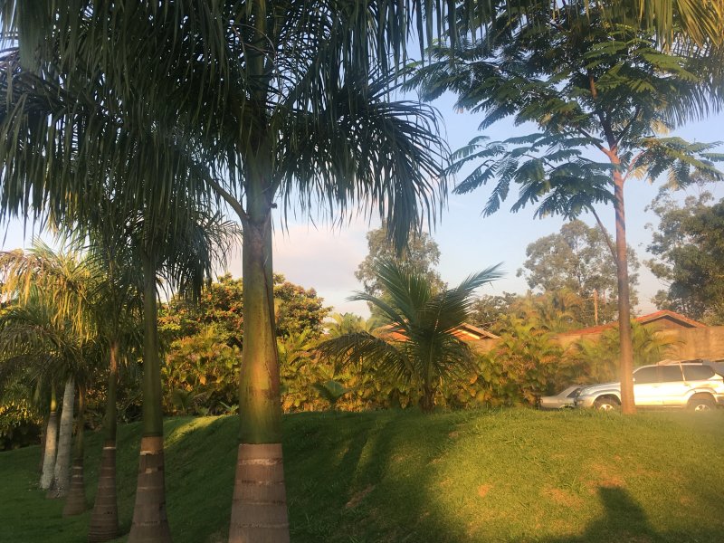 Terreno à venda Chácaras São Bento com 1050m² e  quartos por R$ 450.000 - 818344798-a573f3b7-b1ec-4ec8-a2c9-333bfe4948f8.jpeg