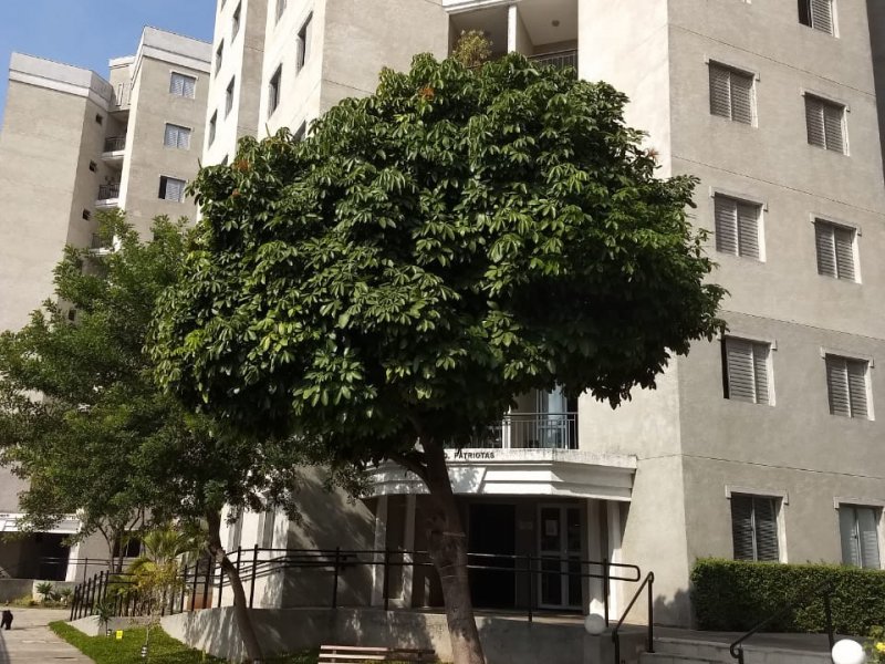 Apartamento à venda São João Clímaco com 49m² e 2 quartos por R$ 265.000 - 254019841-66c94e3a-fb3d-4016-8f9c-e4f351c85629.jpeg