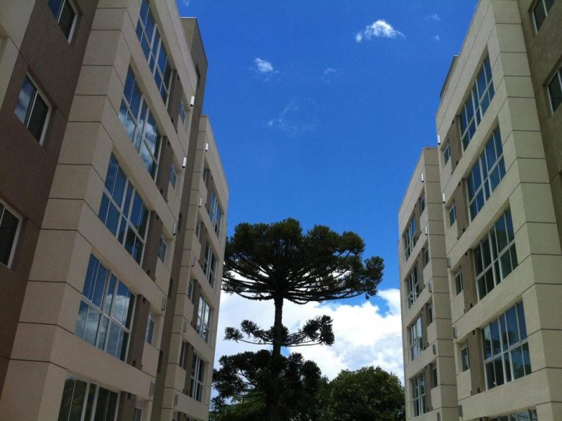 Apartamento à venda Mercês com 85m² e 2 quartos por R$ 550.000 - 929360810-9d4f7b5f-76ec-46db-aa86-8d09adc3c6dd.jpeg