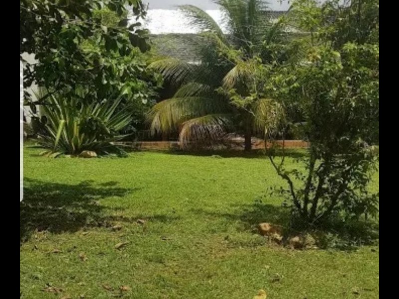 imóvel com 754m² - Riachuelo - Rio de Janeiro