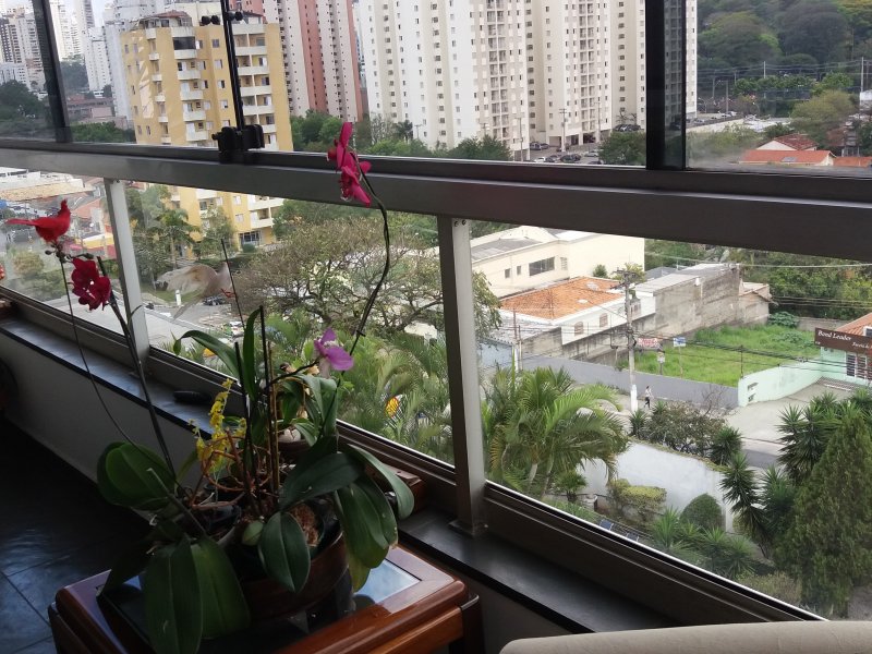 Apartamento para alugar Jardim Londrina com 157m² e 4 quartos por R$ 3.500 - 512310112-20180921-122532.jpg