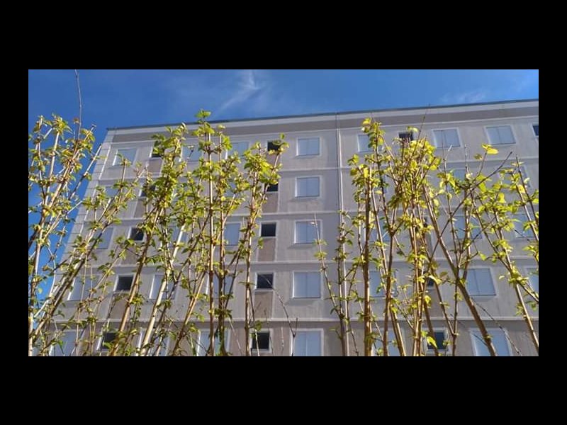 Apartamento à venda Jardim São Gabriel com 42m² e 2 quartos por R$ 230.000 - 1195852169-fb-img-1556157073835.jpg