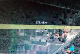 Terreno à venda Timbu com 9538m² -  dormitórios -  vagas - R$ 800.000 - 365092404-whatsapp-image-2019-04-16-at-6.jpeg