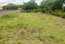 Terreno à venda Timbu com 9538m² -  dormitórios -  vagas - R$ 800.000 - 515303499-whatsapp-image-2019-04-16-at-6.jpeg
