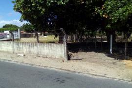 Terreno à venda Timbu com 9538m² -  dormitórios -  vagas - R$ 800.000 - 957979182-whatsapp-image-2019-04-16-at-6.jpeg