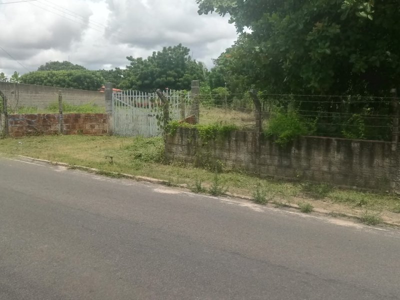 Terreno à venda Timbu com 9538m² e  quartos por R$ 800.000 - 2114122379-whatsapp-image-2019-04-16-at-6.jpeg