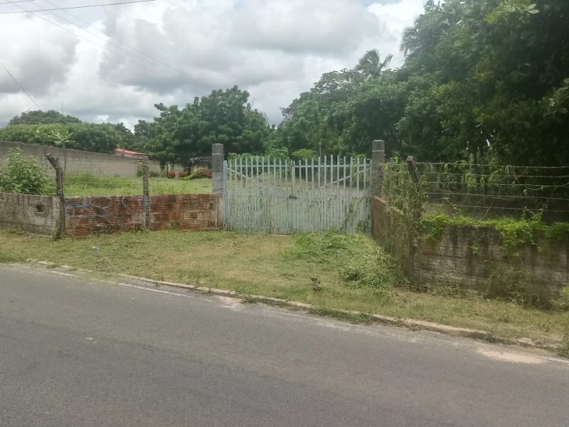Terreno à venda Timbu com 9538m² e  quartos por R$ 800.000 - 467560577-whatsapp-image-2019-04-12-at-10.jpeg