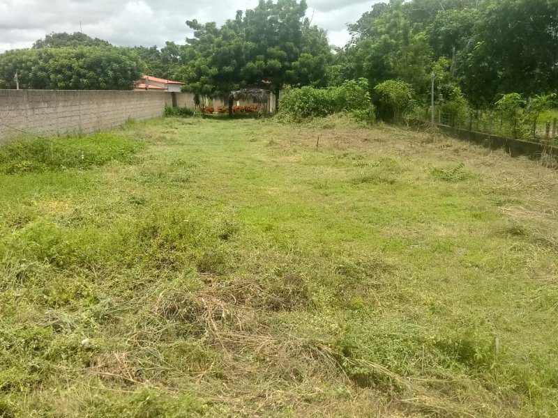 Terreno à venda Timbu com 9538m² e  quartos por R$ 800.000 - 515303499-whatsapp-image-2019-04-16-at-6.jpeg