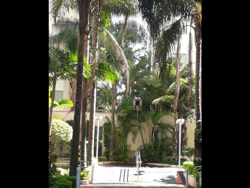 Apartamento à venda Vila Ivone com 64m² e 3 quartos por R$ 340.000 - 1161121769-30d6a791ab18fef89d4f00eb0aaafe16.jpg