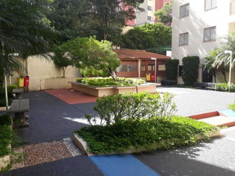 Apartamento à venda Vila Ivone com 64m² e 3 quartos por R$ 340.000 - 179003662-52407cd84f91c7a995653730fc28851f.jpg