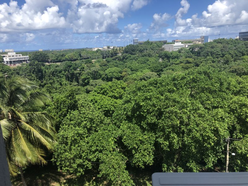 Casa à venda São Marcos com 80m² e 2 quartos por R$ 250.000 - 1985262019-img-5638.JPG