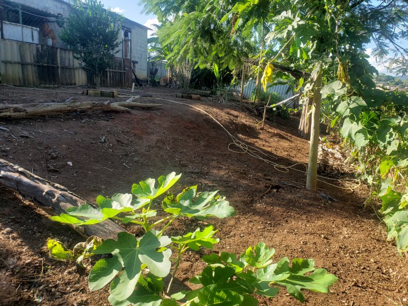 imóvel com 5000m² - California - Contagem