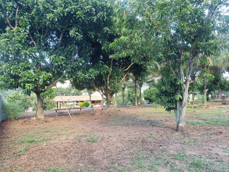 imóvel com 5000m² - California - Contagem