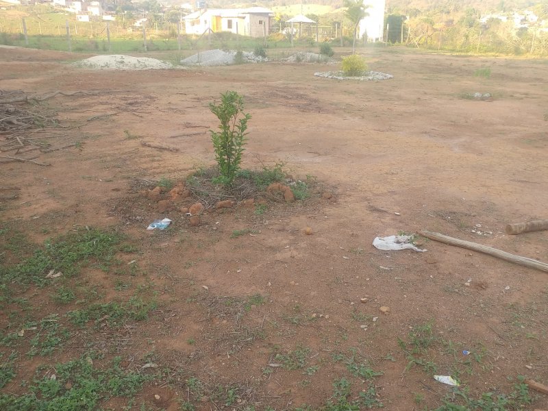 imóvel com 5000m² - California - Contagem