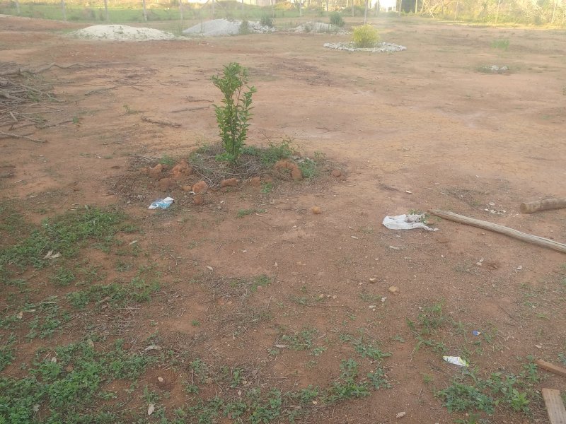 imóvel com 5000m² - California - Contagem