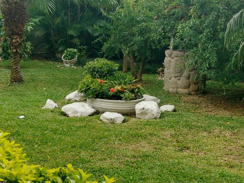 Apartamento à venda Vila Bertioga com 60m² e 2 quartos por R$ 349.000 - 1480427099-img-20180620-132656.jpg