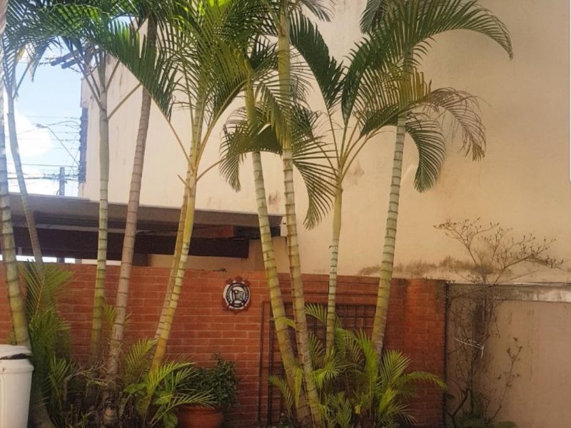 Apartamento para alugar Cidade Satélite com 250m² e 3 quartos por R$ 4.500 - 2125443982-screenshot-20190423-105148-whatsapp.jpg