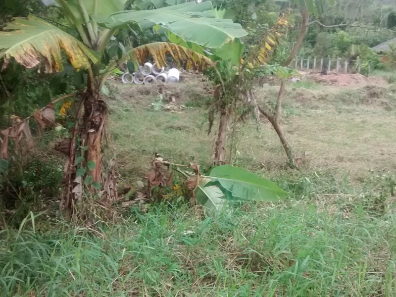 Terreno à venda ubatuba com 360m² e  quartos por R$ 65.000 - 1169253774-img-20190329-172626165.jpg
