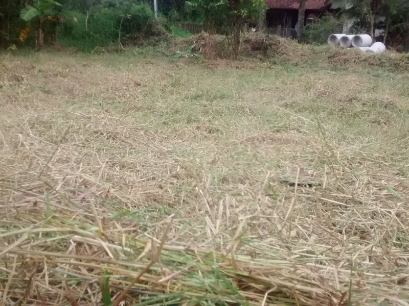 Terreno à venda ubatuba com 360m² e  quartos por R$ 65.000 - 88869768-img-20190329-172729012.jpg