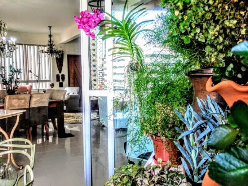 Apartamento à venda Gonzaga com 202m² e 4 quartos por R$ 1.100.000 - 628455264-whatsapp-image-2019-04-27-at-12.jpeg