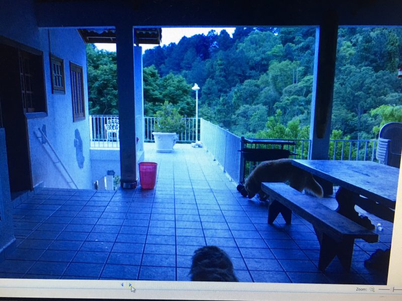 Casa de condomínio à venda Chácara Pedra Alta com 490m² e 5 quartos por R$ 1.300.000 - 1241418160-23ba4f76-2205-4735-b42e-ed4ceb40a7dc.jpeg