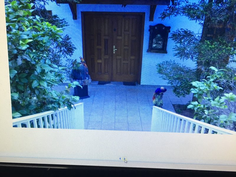 Casa de condomínio à venda Chácara Pedra Alta com 490m² e 5 quartos por R$ 1.300.000 - 1675100240-238a9f78-229f-44fa-bcf5-47075655af7b.jpeg