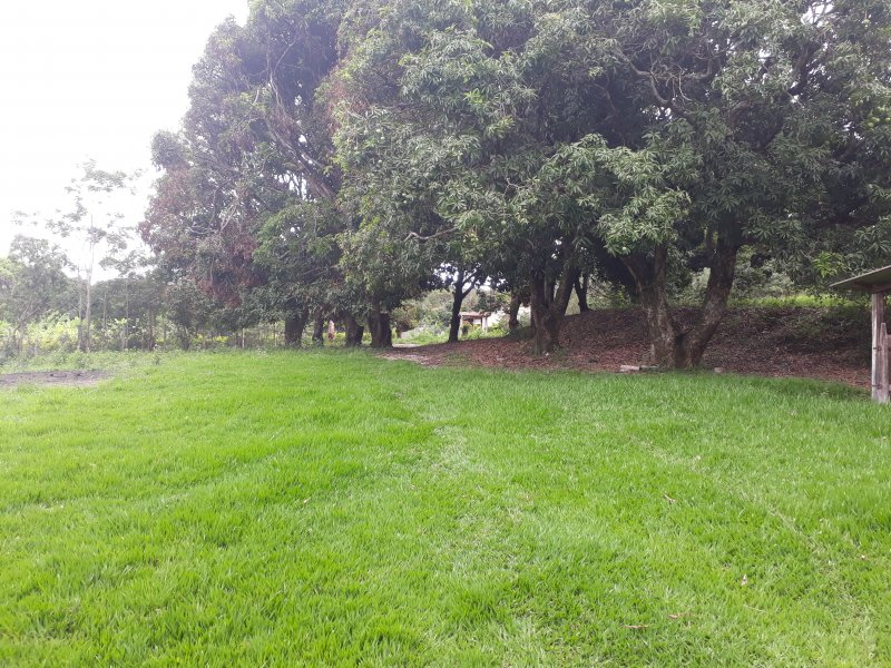 Sítio à venda Centro com 25000m² e 2 quartos por R$ 560.000 - 12476382-20171206-161543.jpg