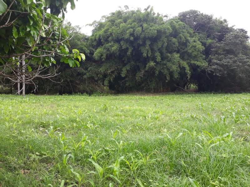 Sítio à venda Centro com 25000m² e 2 quartos por R$ 560.000 - 366733567-20171206-160958.jpg
