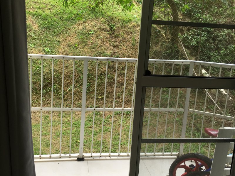 Apartamento à venda Pendotiba com 70m² e 2 quartos por R$ 260.000 - 1922142443-f60d2c22-29ae-41d1-b0df-8562e9b86e02.jpeg
