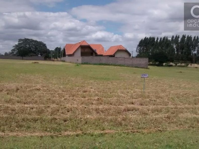 Terreno à venda Centro com 1002m² e  quartos por R$ 220.000 - 15847353-554922667-hbq7zhpocznpqtg9d7aalrggwgzps1yfj857lvoqxeshhw9ouoboohzu0vtcqgy-b5ldrjvkvomatlkst77zz-ptqb8ovpab-q0w1024-h768.jpg