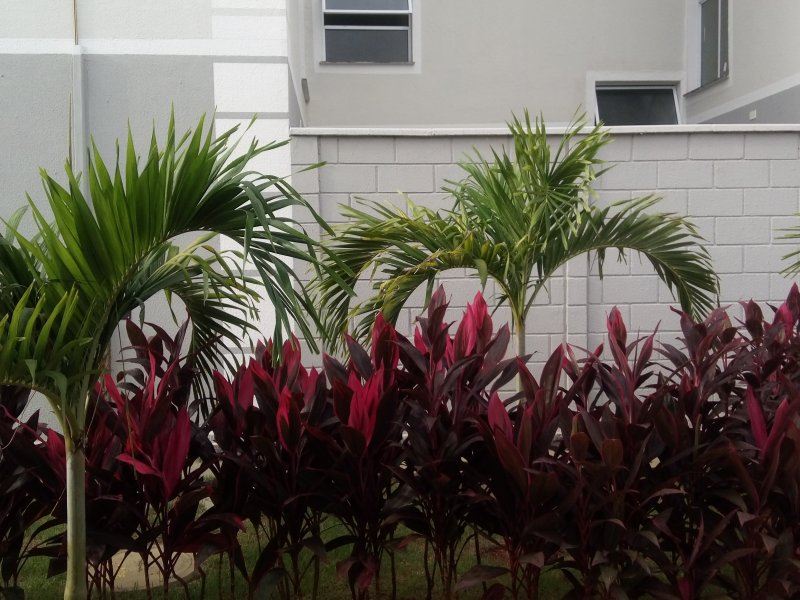 imóvel com 48m² - Sol Nascente - Lagoa Santa