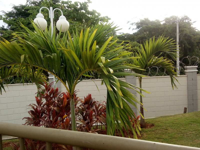 imóvel com 48m² - Sol Nascente - Lagoa Santa