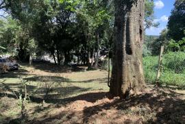 Terreno à venda Vista Alegre com 800m² - 1 dormitório -  vagas - R$ 700.000 - 1542671047-img-2350.jpg