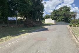 Terreno à venda Vista Alegre com 800m² - 1 dormitório -  vagas - R$ 700.000 - 667220225-img-2373.jpg