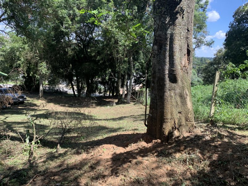 Terreno à venda Vista Alegre com 800m² e 1 quarto por R$ 700.000 - 1542671047-img-2350.jpg