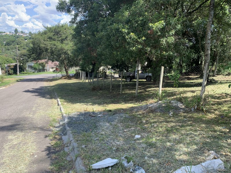 Terreno à venda Vista Alegre com 800m² e 1 quarto por R$ 700.000 - 563208478-img-2366.jpg