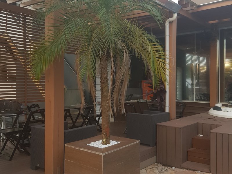 Casa à venda Nova América com 770m² e 6 quartos por R$ 2.800.000 - 1512005883-20190320-175919.jpg