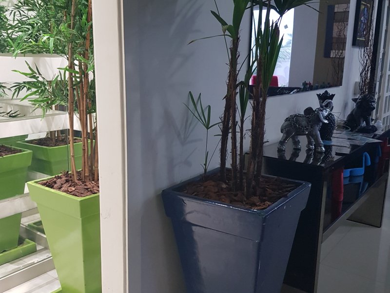 Casa à venda Nova América com 770m² e 6 quartos por R$ 2.800.000 - 1898890092-20190321-075047.jpg