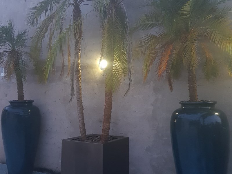 Casa à venda Nova América com 770m² e 6 quartos por R$ 2.800.000 - 830736551-20190320-183143.jpg