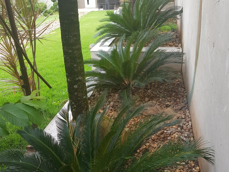 Casa à venda Nova América com 770m² e 6 quartos por R$ 2.800.000 - 883852320-20190321-124125.jpg