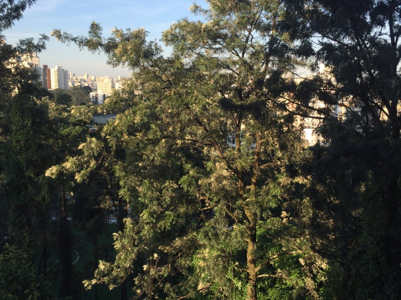 Apartamento à venda Mooca com 140m² e 3 quartos por R$ 650.000 - 1069539714-5653bb7d-7f6f-4fd1-a0a5-b6fac3a4d3bf.jpeg
