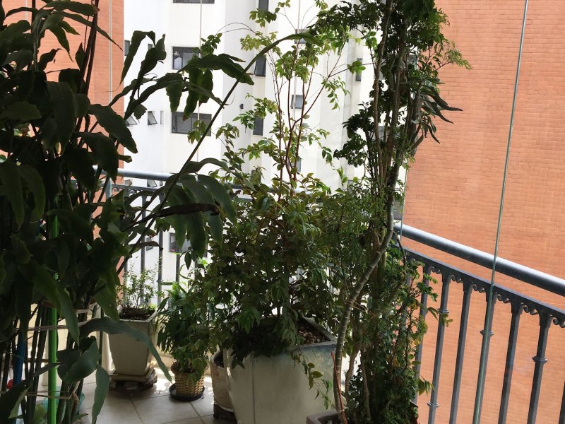 Apartamento à venda Jardim Vila Mariana com 127m² e 4 quartos por R$ 1.250.000 - 1709765783-f4fa375b-9ede-4e36-bb2c-8fed50cdffe5.jpeg
