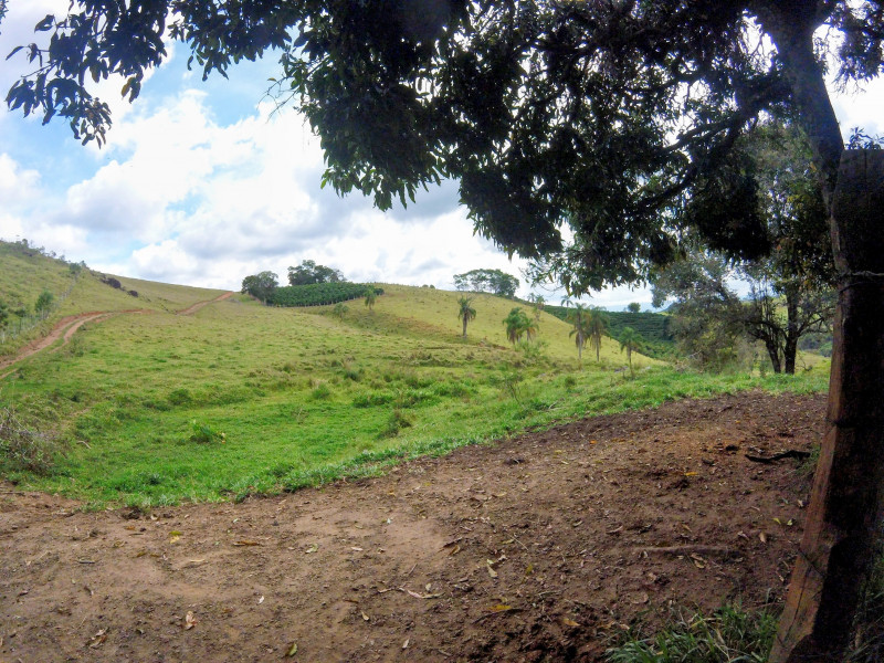 Terreno à venda Centro com 40000m² e 1 quarto por R$ 350.000 - 94541645-nascente.jpg